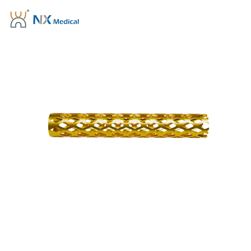 Nx Medical China Factory Titanium Tlif Cage Peek for Lumbar Interbody Fusion