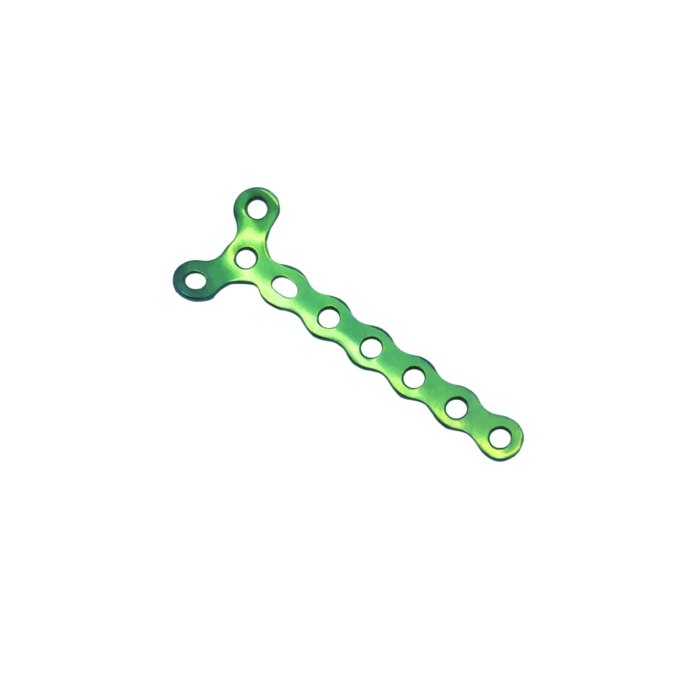 Head Bone Plate Maxillofacial Mini Micro Locking T Plate Bone Implant