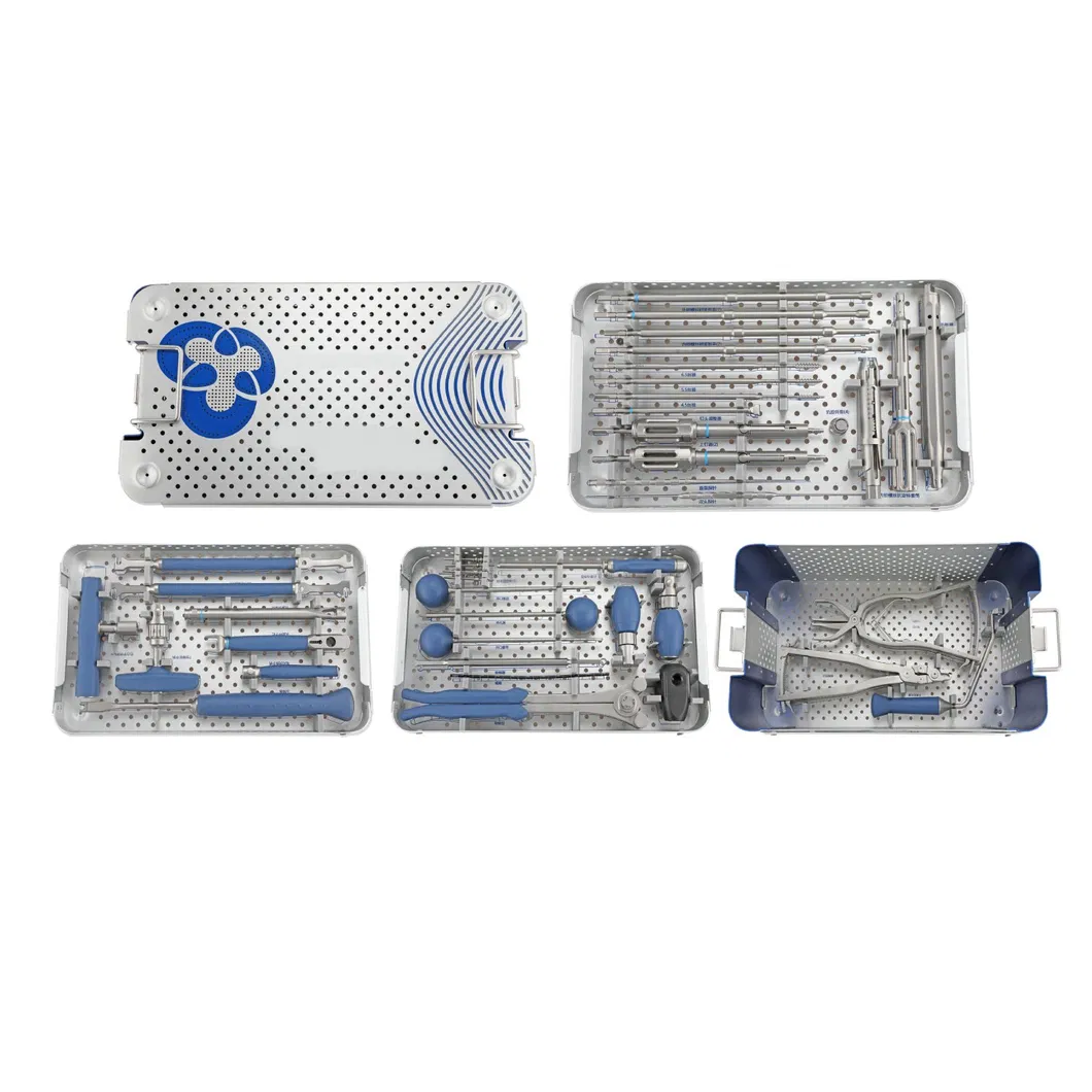 Spinal Fixation Set