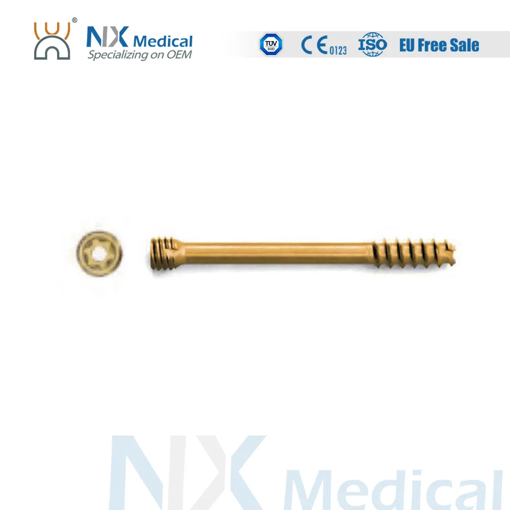 Nx Medical Orthopedic Implant Cannulated Headless Compression Screw for Bone Fixation