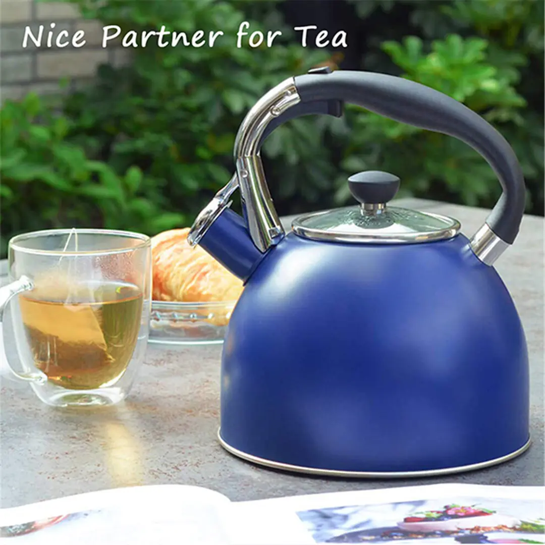 OEM Stainless Steel Whistling Kettle featuring a Capsule Bottom and Heat-Resistant Glass Lid Suppliers, Products