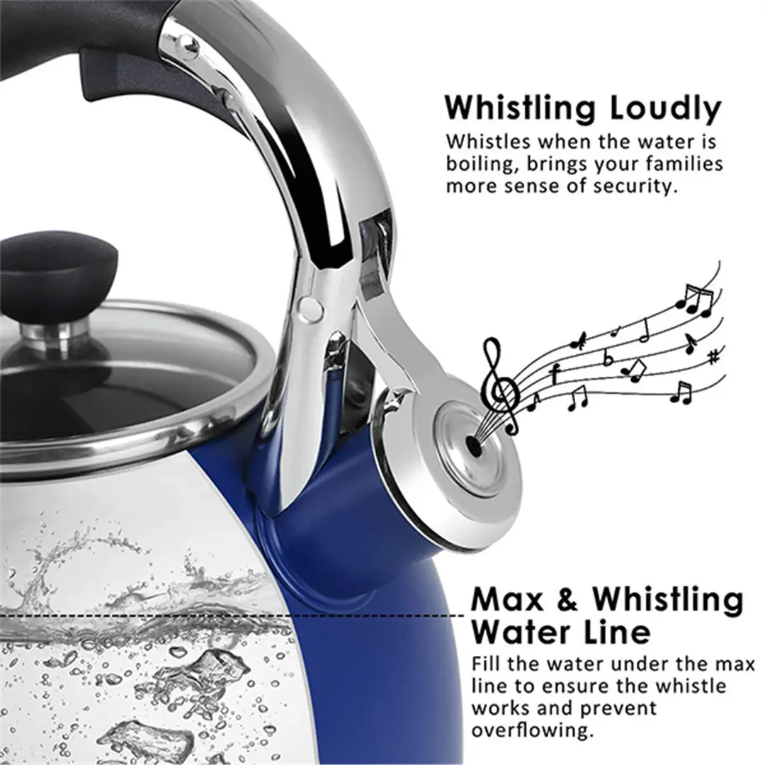 OEM Stainless Steel Whistling Kettle featuring a Capsule Bottom and Heat-Resistant Glass Lid Suppliers, Products