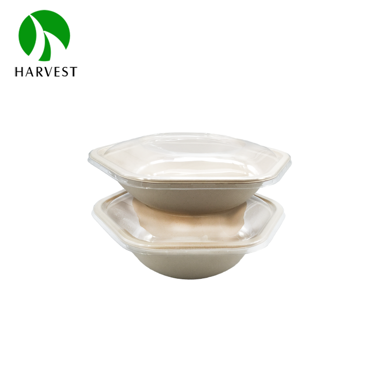 Disposable Bagasse Zero Waste Takeaway Salad Sugarcane Hexagon Bowl Plant-Based Gluten Free Food Containers