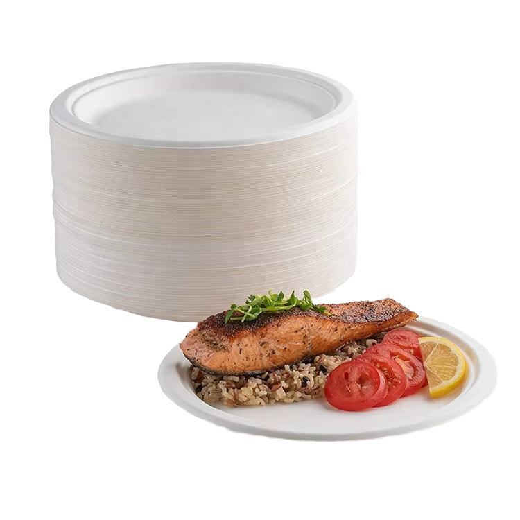 Free Sample 9 Inch Eco-Friendly Sugarcane Bagasse Biodegradable Disposable Waterproof Microwave Safe LFGB Certified Contemporary