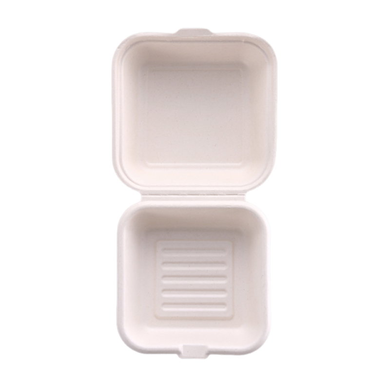 Bagasse Plate Showcase 3