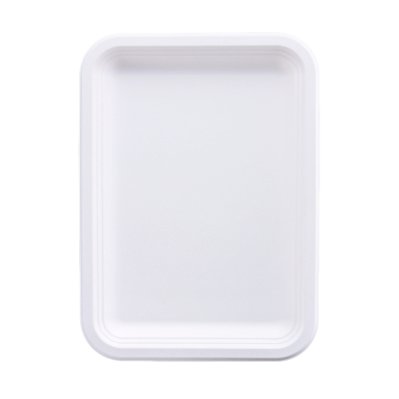 Bagasse Plate Showcase 6