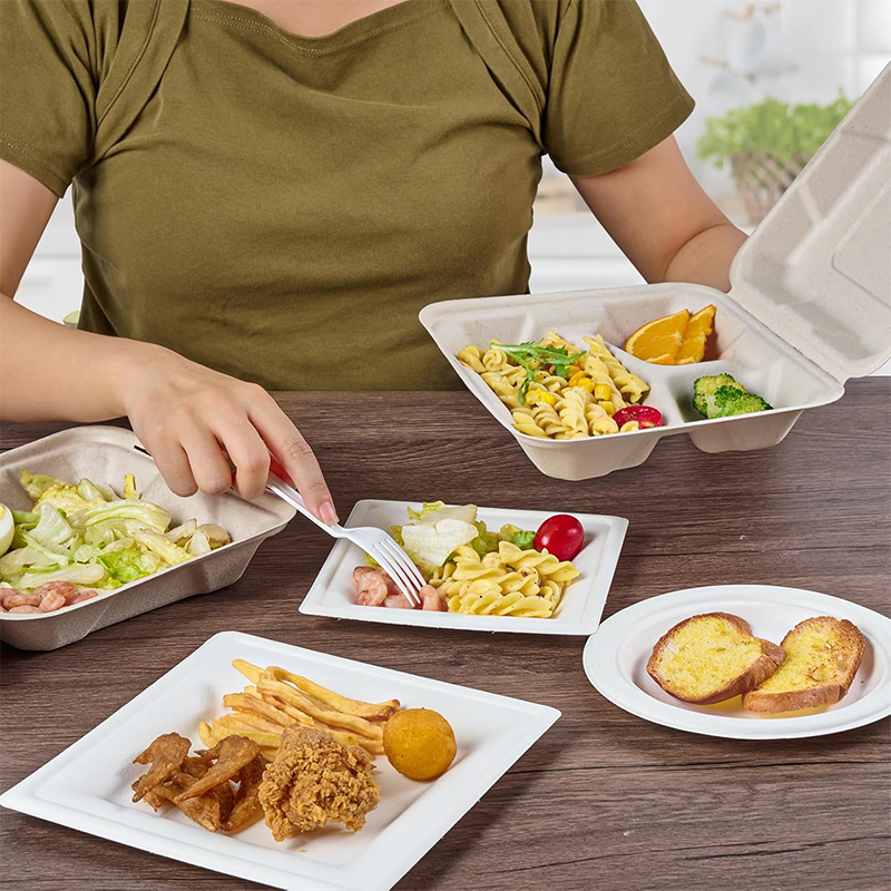 Eco-friendly Disposable Clamshell to Go Container Sugarcane Bagasse 8x8.5 Inch Biodegradable Sugarcane Clamshell Food Containers