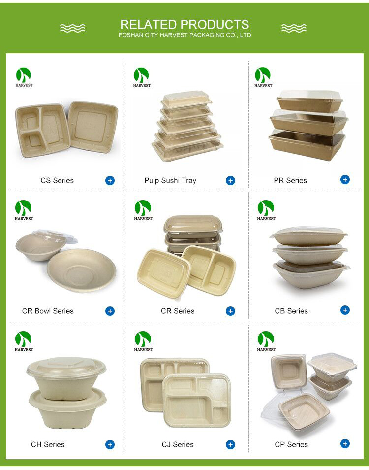 Plant-Based Gluten Free Square 24 oz Disposable Single Use Take Away Eco-Friendly Pulp Biodegradable Compostable Salad Bowl