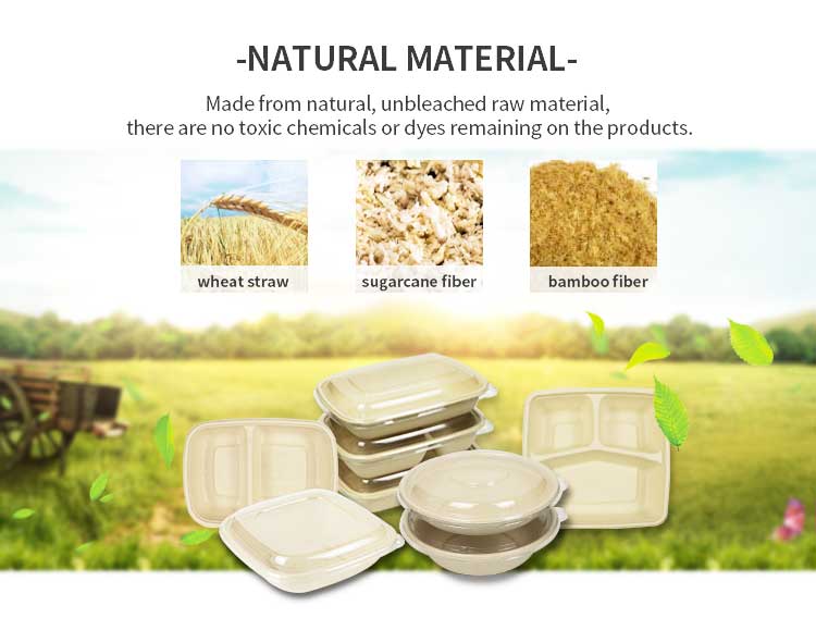 Rectangular 700 Ml Biodegradable Bagasse Sugarcane Food Box With Pp Lid
