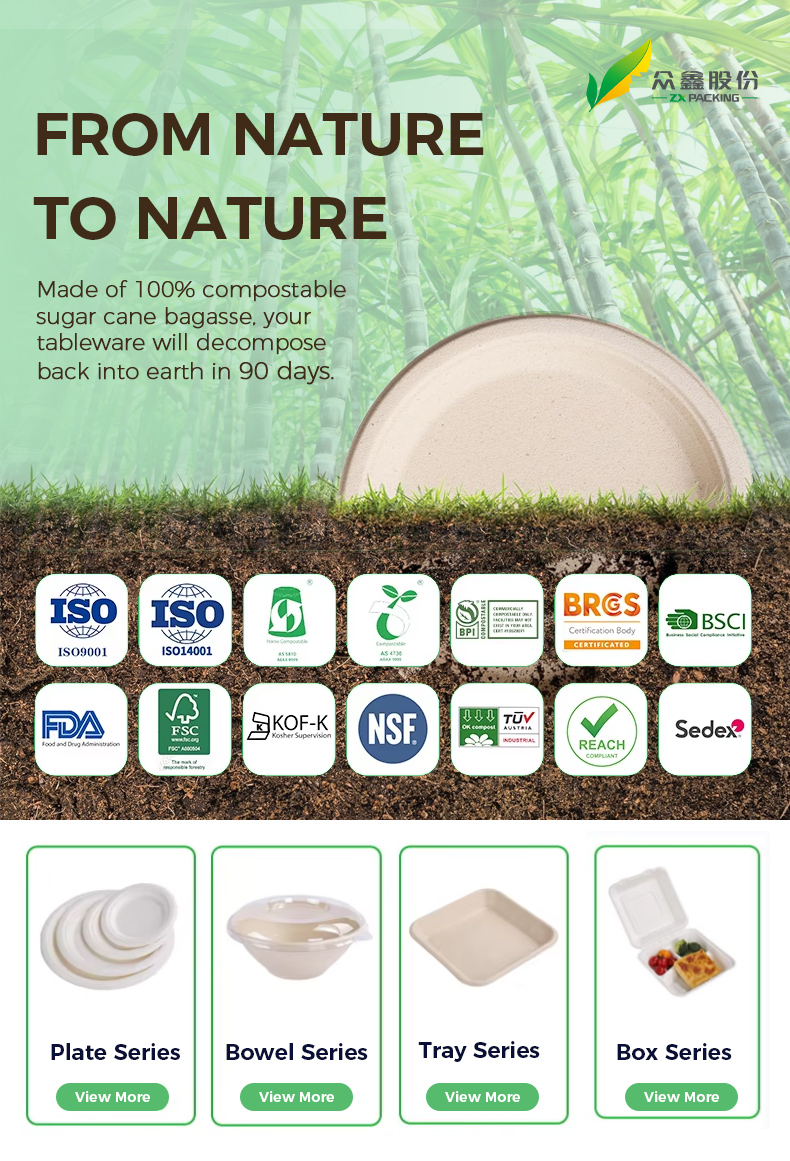 Biodegradable Tableware Products