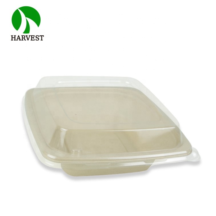 Plant-Based Gluten Free Square 24 oz Disposable Single Use Take Away Eco-Friendly Pulp Biodegradable Compostable Salad Bowl