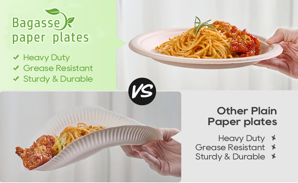 Heat-Resistant Bagasse Disposable Dinner Plates