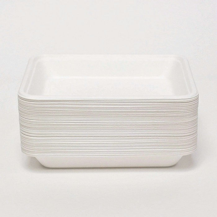 Compostable Bio Food Container Plates Biodegradable Dinnerware Set Eco Friendly Sugarcane Bagasse Paper Plate Perfect For BBQ Ca