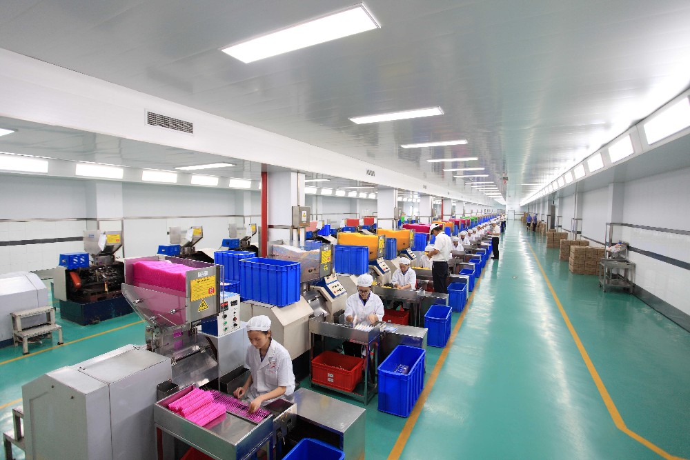 Factory Internal View 1