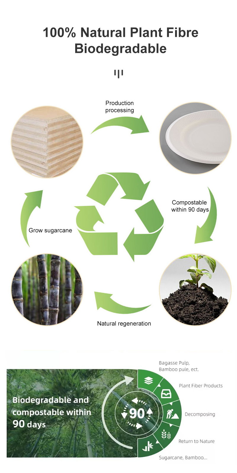 Disposable Environmentally Friendly Sugarcane Paper Biodegradable Lunch Box Salad Bowl with Embossing 90-Day Degradation