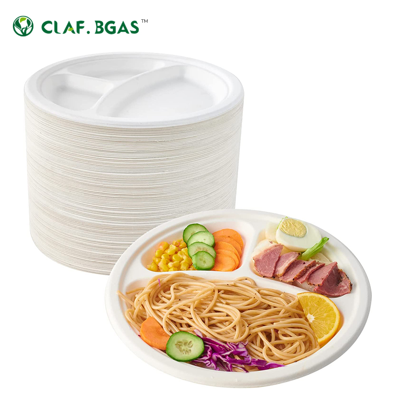 Eco-friendly Degradable Biodegradable Compostable 9 Inch Dinner Party Sugar Cane Pulp Sugarcane Bagasse Disposable Paper Plate