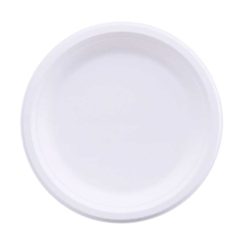 Bagasse Plate Showcase 1