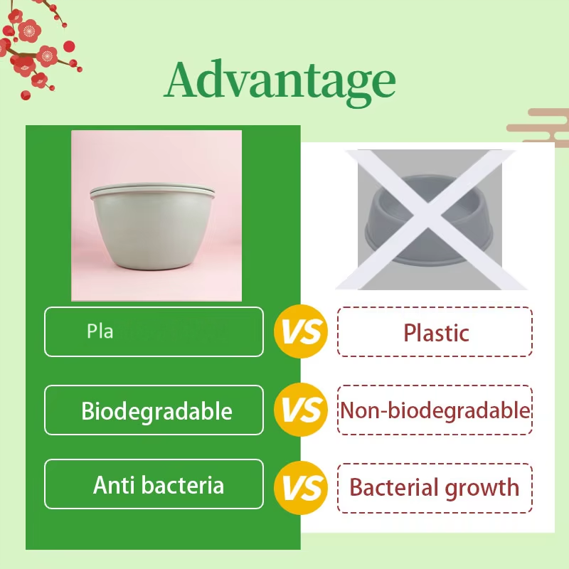 Our Key Advantages