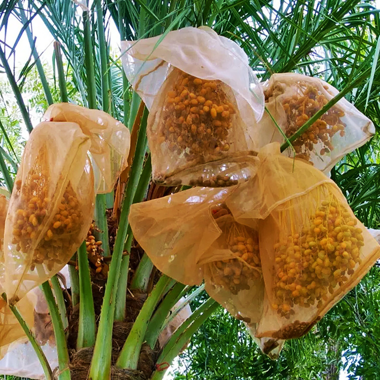 Mesh Bag Protection for Fruits