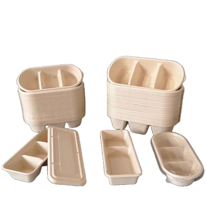 Packaging Eco Box Biodegradable Food Packaging Containers with Lids