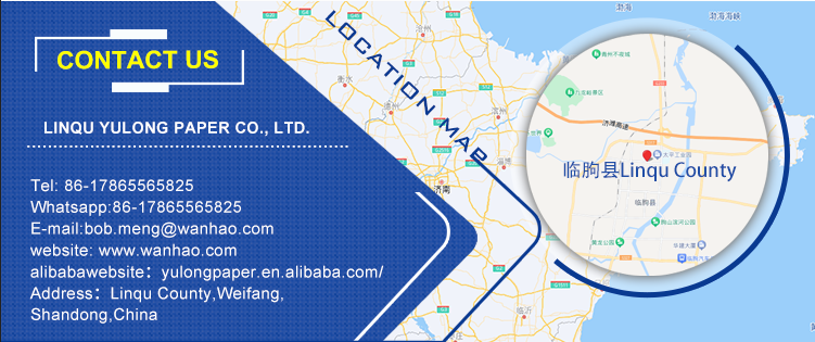 Footer Banner Graphic