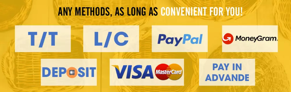 Payment Channels