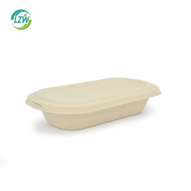 Leakproof and Microwave Disposable Biodegradable Food Container Take Out Lunch Boxes Environmentally Friendly Sugarcane Pulp