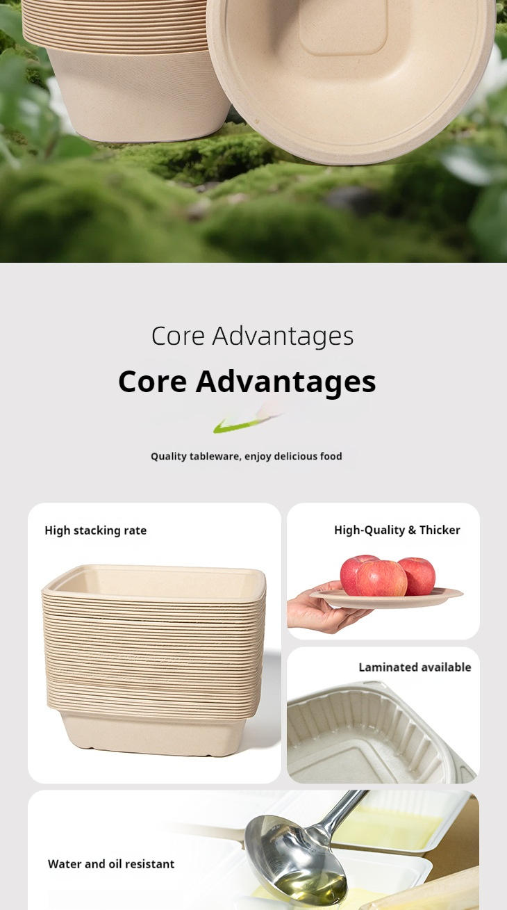Biodegradable meal box 3
