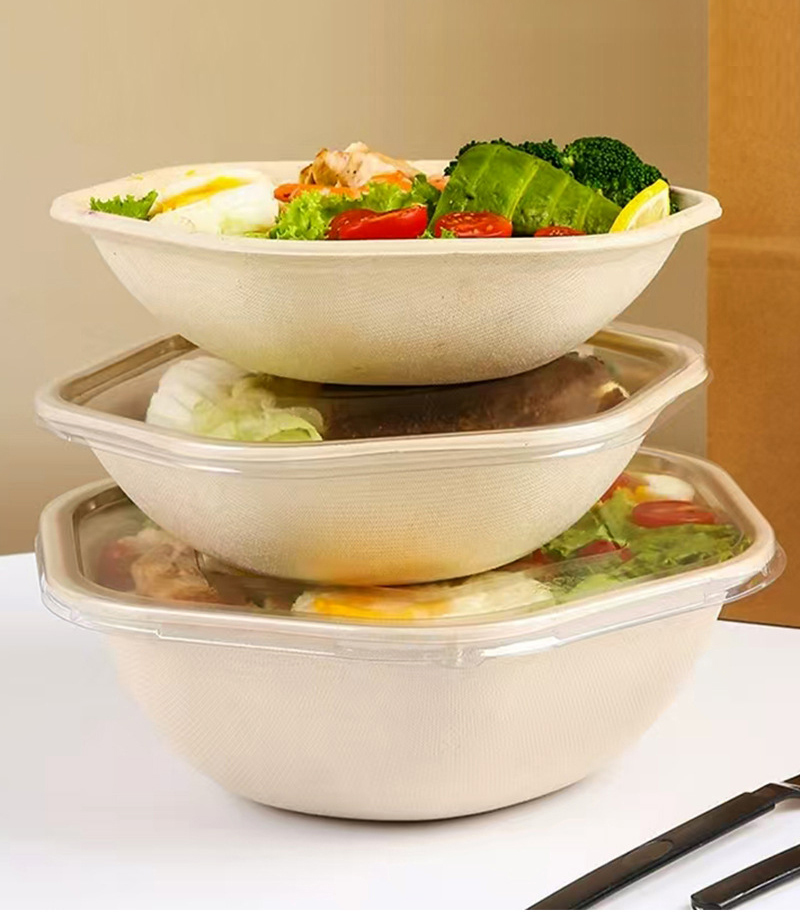 Disposable Environmentally Friendly Sugarcane Paper Biodegradable Lunch Box Salad Bowl with Embossing 90-Day Degradation