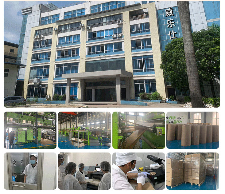 Company Profile Overview