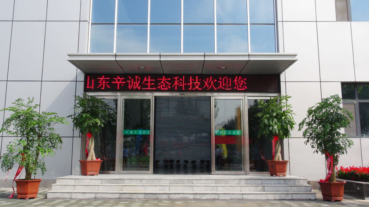 Eco tableware manufacturing