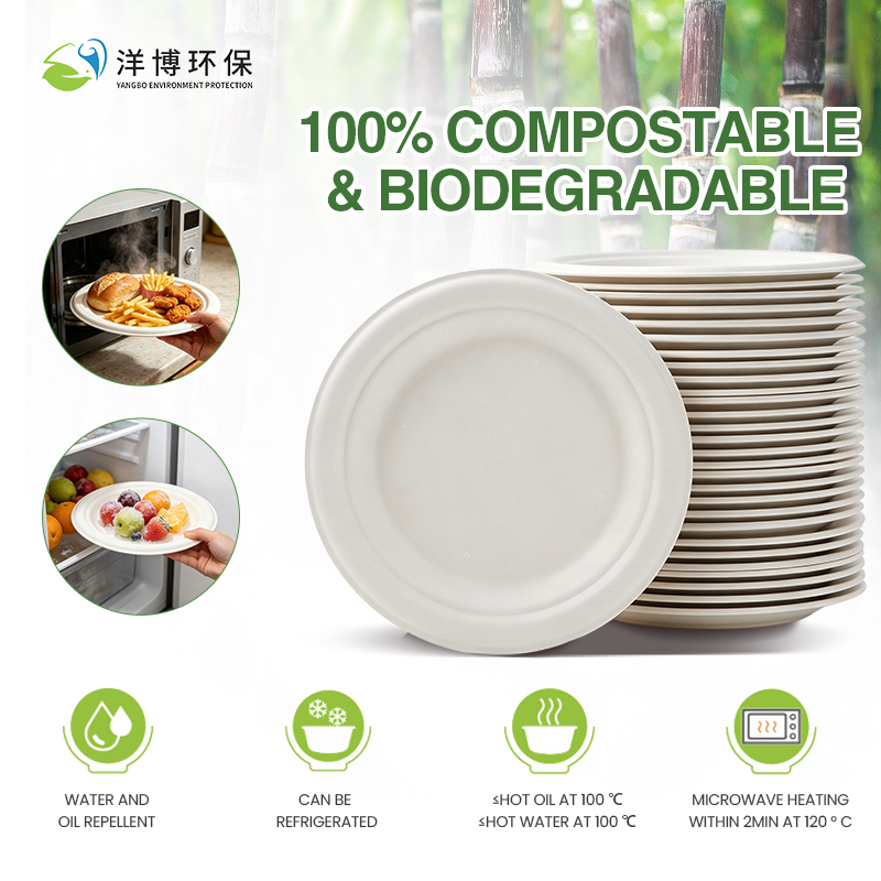 XS-FP10 10 Inch Square Plate Disposable Sugarcane Plates Eco-friendly Bagasse Degradable Plate