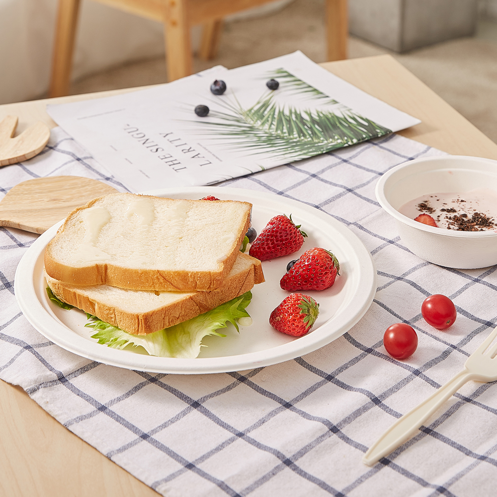 ECO-friendly ODM Biodegradable Sugarcane Bagasse Plate Cutlery Food Container Bagasse Disposable Tableware Suit