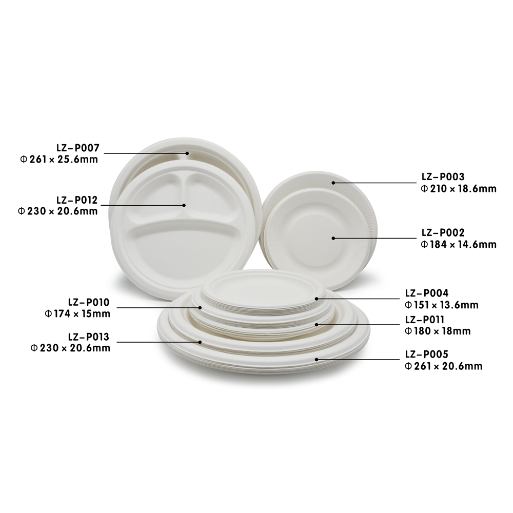 Heat-Resistant Bagasse Disposable Dinner Plates