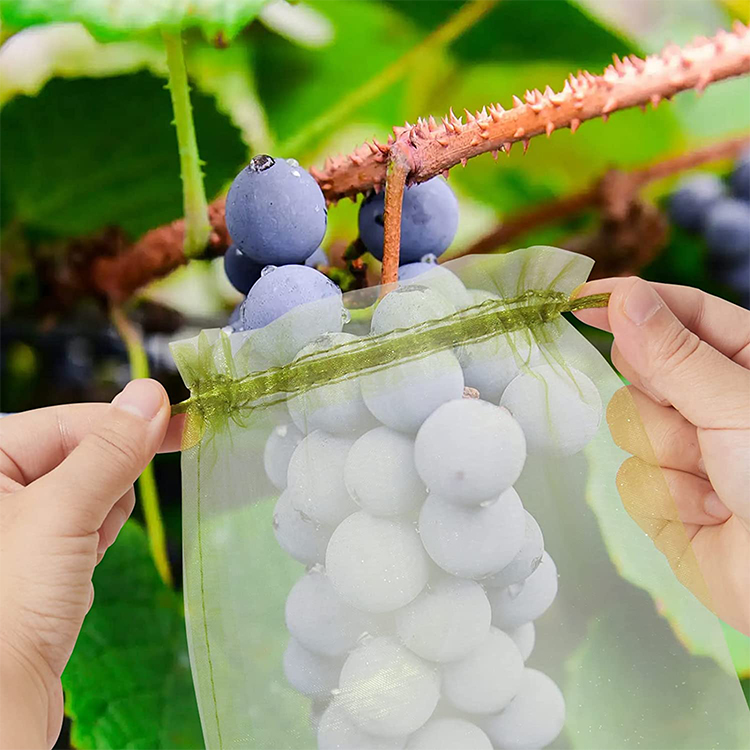 Reusable Net Grocery Guava Fruit Protection Bag/ Dry Fruits Packaging Bags/ Jute Fruit Bag For Anti Insect Bird Fly
