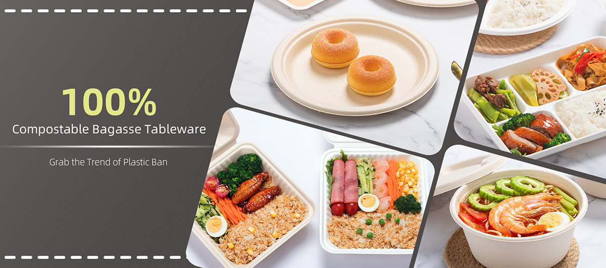 Biodegradable Tableware Features 1