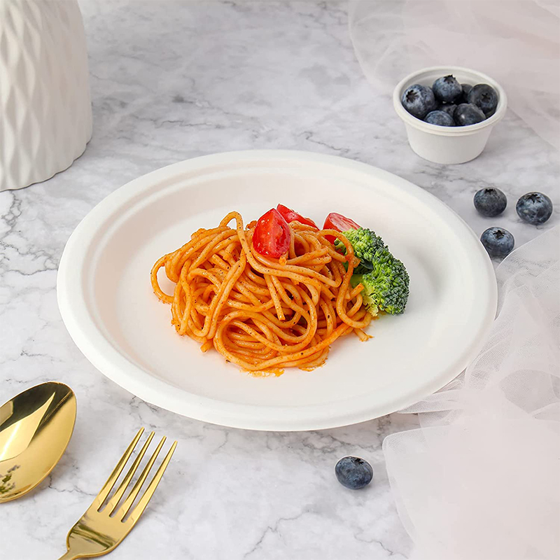 Eco-friendly Degradable Biodegradable Compostable 9 Inch Dinner Party Sugar Cane Pulp Sugarcane Bagasse Disposable Paper Plate