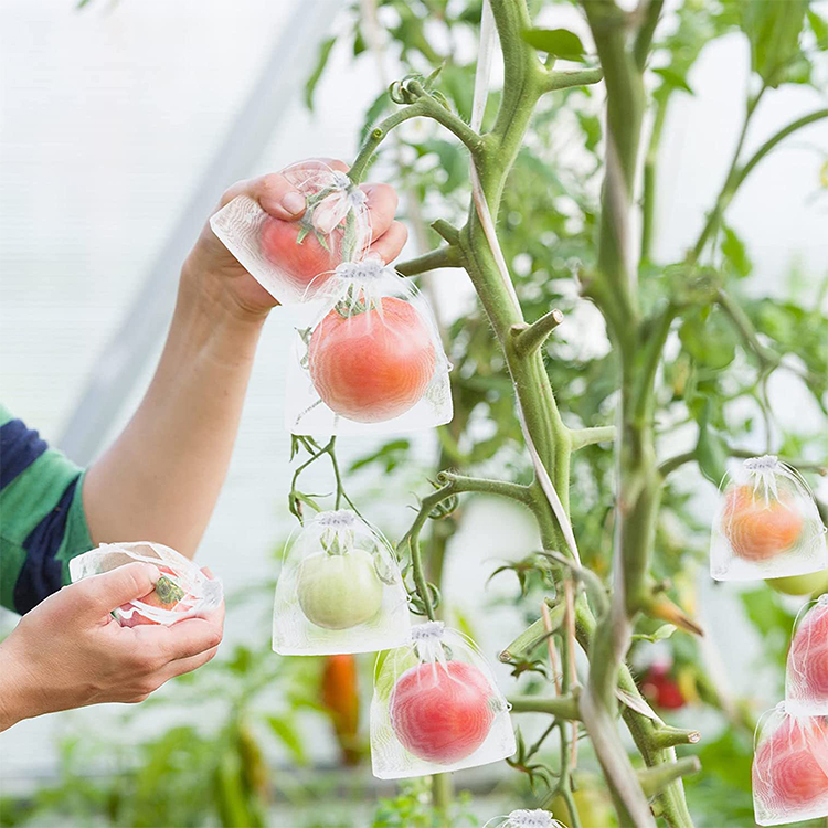 White Vineyard Grape Mango Tomato Apple Peach Anti Insect Net Mesh Fruit Protection Bags,fruit Net Bag