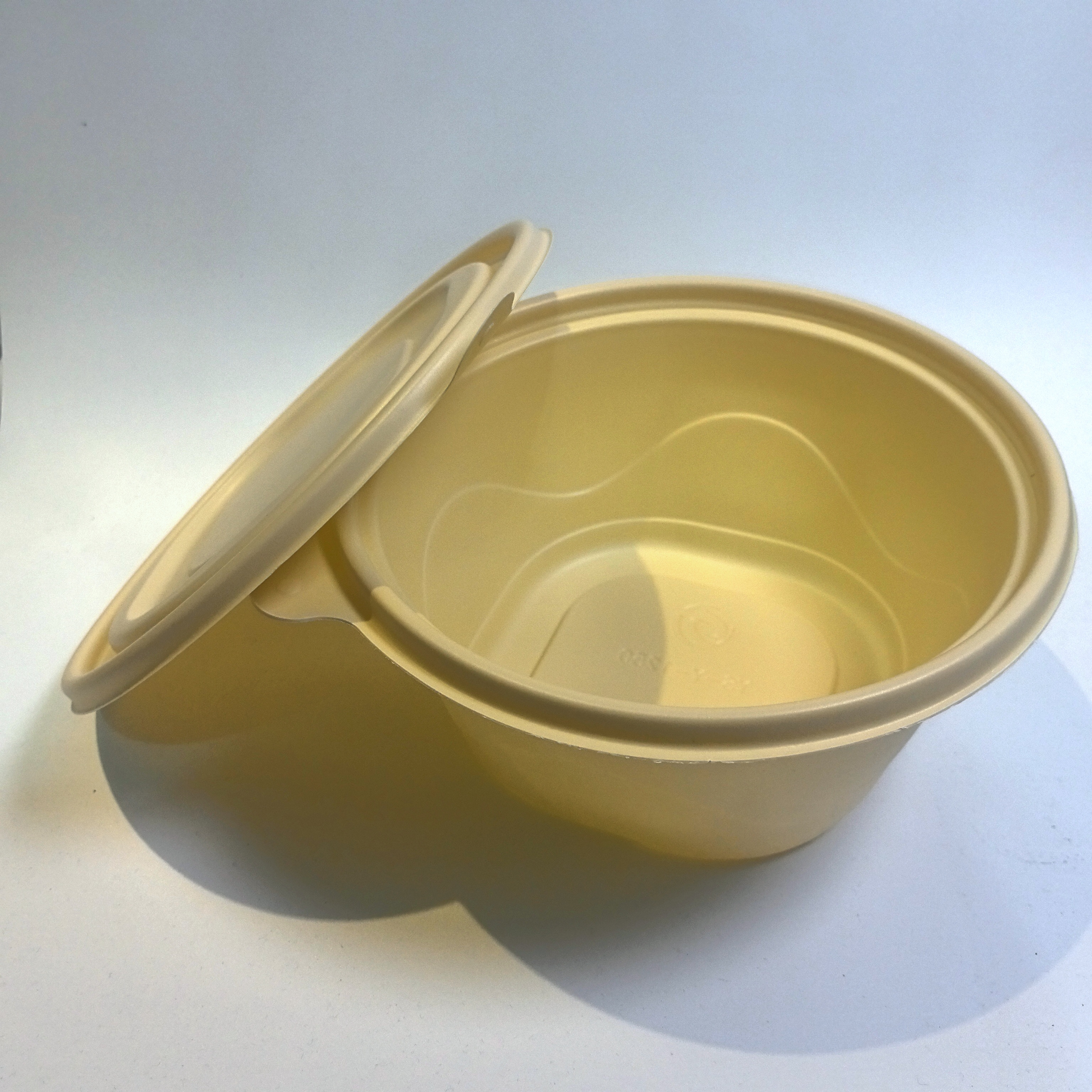 Disposable Food Container Detail 5