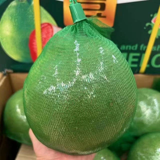 Good Quality Plastic Pe Fruit Mesh Bag In Roll Onion Mesh Bags Vegetables Packing Net