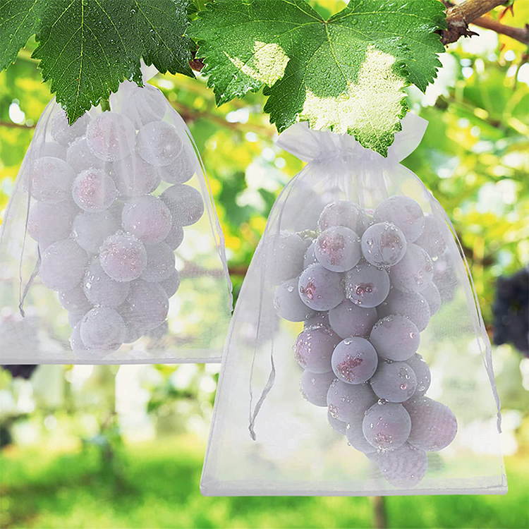 White Vineyard Grape mango Tomato apple Peach Anti Insect Net Mesh Fruit protection Bags,fruit Net Bag