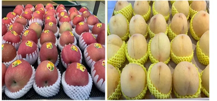 Protective Foamnet Mesh Sleeves for Fruit & Bottle Packaging