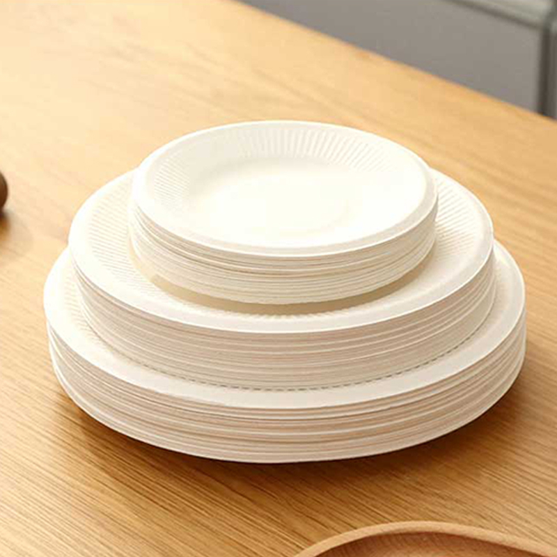 9 Inch White Plate Restaurant Plates Sugarcane Flat Bagasse Disposable Kraft Food Plate