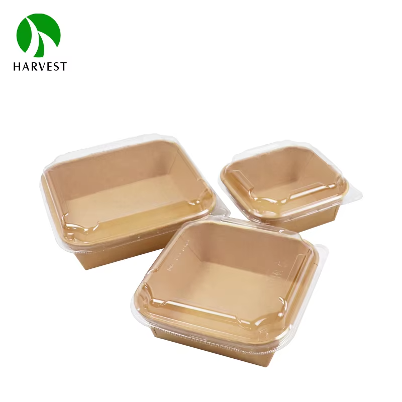 Factory Custom Biodegradable Square Kraft Paper Food Container Take Away Disposable Salad Bowls With Lid