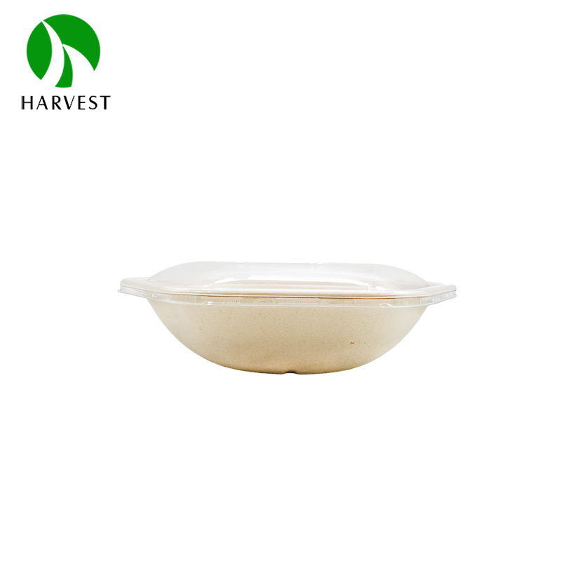 Disposable Bagasse Zero Waste Takeaway Salad Sugarcane Hexagon Bowl Plant-Based Gluten Free Food Containers