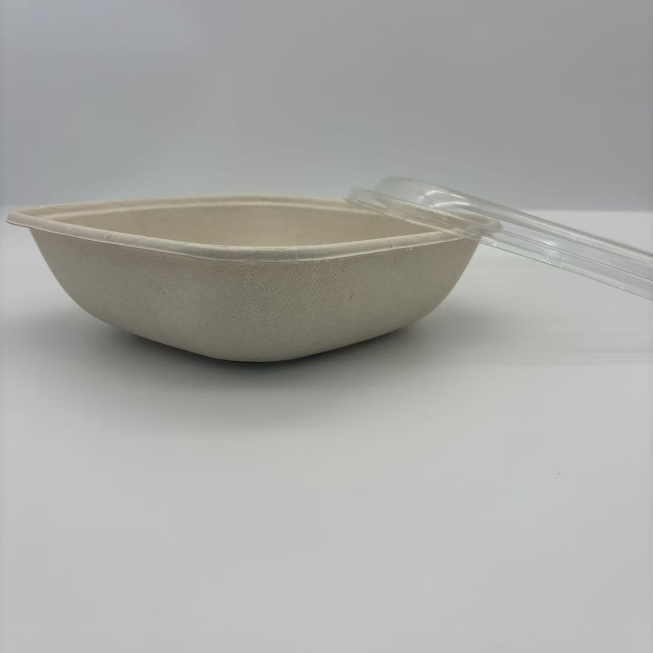 Biodegradable Disposable Sugarcane Bagasse Tableware, Including Plates, Trays, Cups, Lids, Straws &amp; Food Packaging Containers