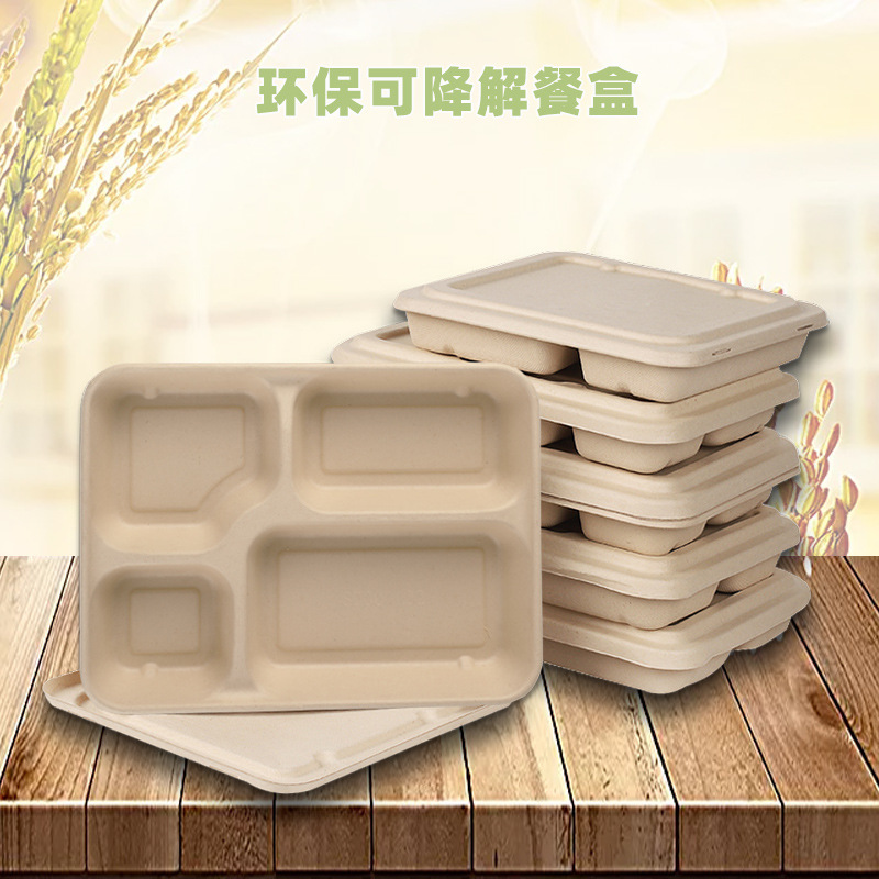 Biodigradable Disposable Folding Lunch Box With Tray 4 Compartment Plastic Container For Take Away Food Made In China