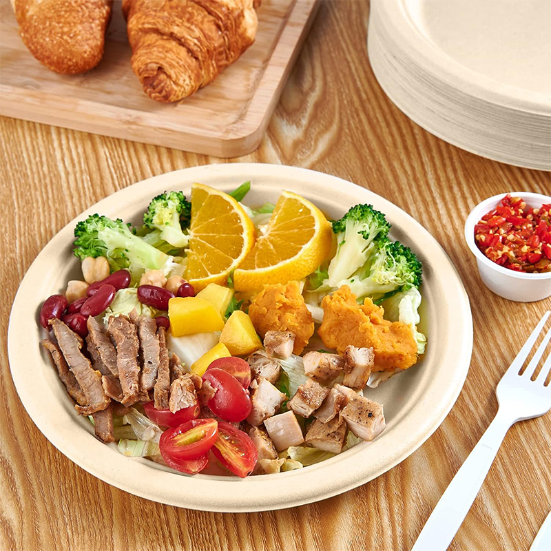 Bagasse Natural Biodegradable Eco-Friendly Sugarcane Paper Plates 9 Inch 100% Compostable Heavy-Duty Disposable Paper Plates