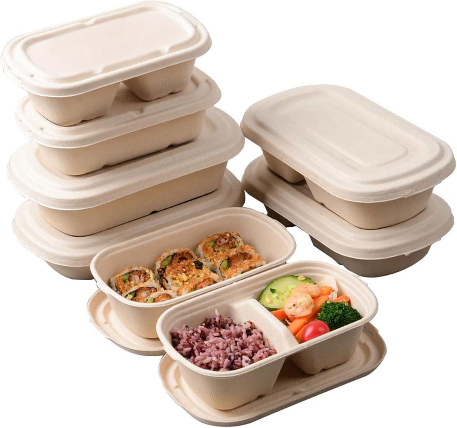 Sugarcane fiber meal container design 2