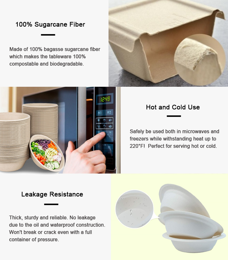 Natural 9-Inch Bagasse Round Plate Compostable Sugarcane Fiber Disposable Plate for Parties